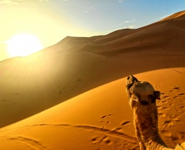 Екзотични дестинации