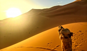 Пустинна магия в Мароко с нощувка в пустинята Агафай