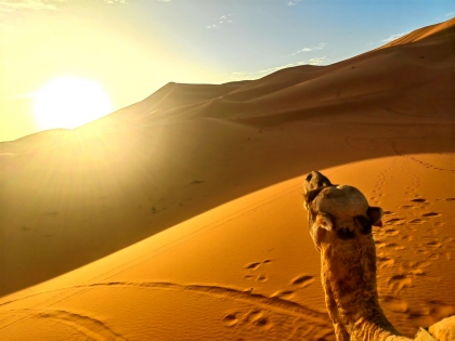 Пустинна магия в Мароко с нощувка в пустинята Агафай