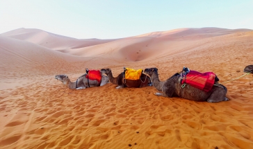 Мароко от А до Я - между пустинята, медините и приказките на Шехерезада