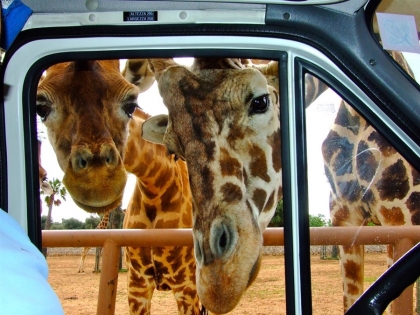 6-ти септември в Пулия с посещение на сафари парк „Фасаноландия“