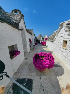 Пулия с посещение на сафари парк 