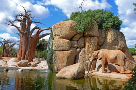 Първи юни – празник сред морето и животните на Валенсия