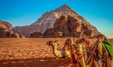 Самолетна екскурзия до Йордания с водач от България