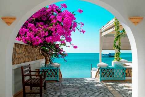 Организирани почивки