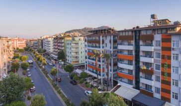 LONICERA CITY KLEOPATRA