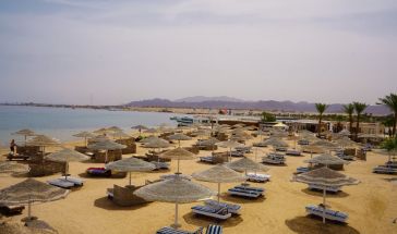 EAGLES PARADISE ABU SOMA