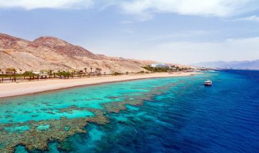 ЕСЕН 2023 ALL INCLUSIVE ПОЧИВКА В МАРСА АЛАМ С ПОЛЕТ ОТ СОФИЯ