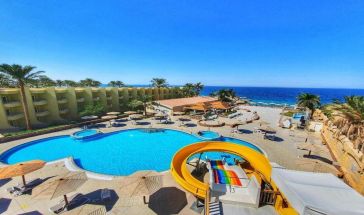 Palm Beach Resort Standard